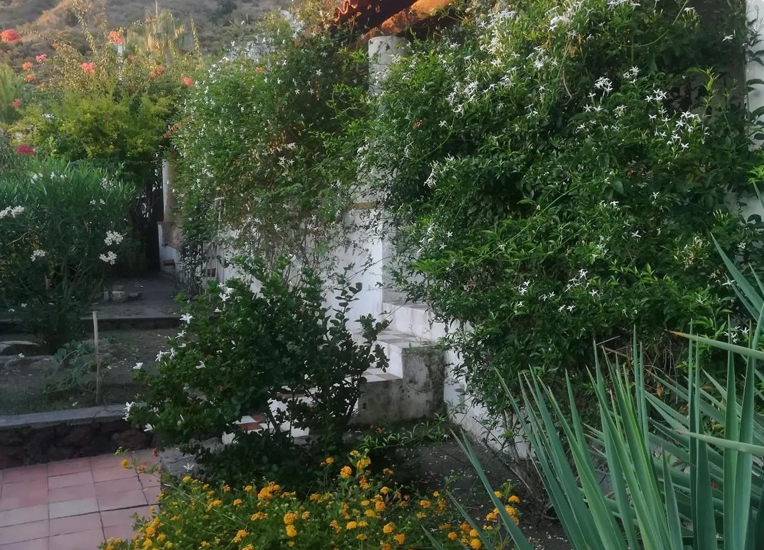 Feriehus Yellow House Di Giulia Vulcano